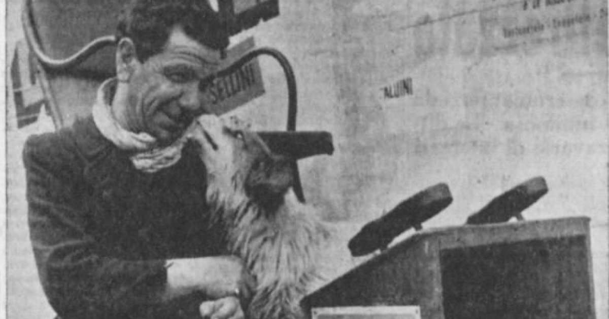 La storia del cane Fiorino: attravers� l'Italia per tornare a Bari dal suo padrone